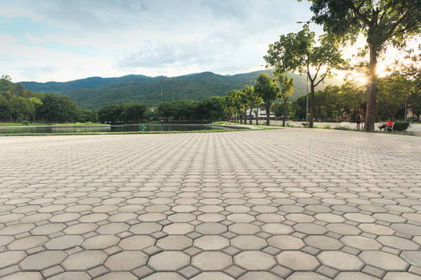 Best Residential Paver Driveway  in Lake Park, NC