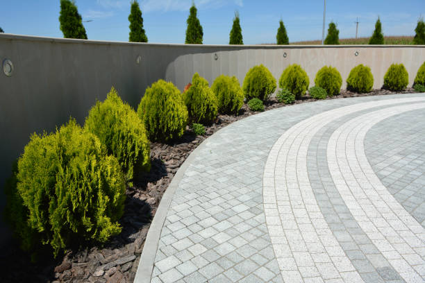 Best Custom Driveway Pavers  in Lake Park, NC